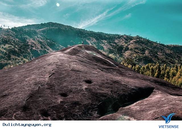 Tảng đá voi mẹ Yang Tao – Dak Lak