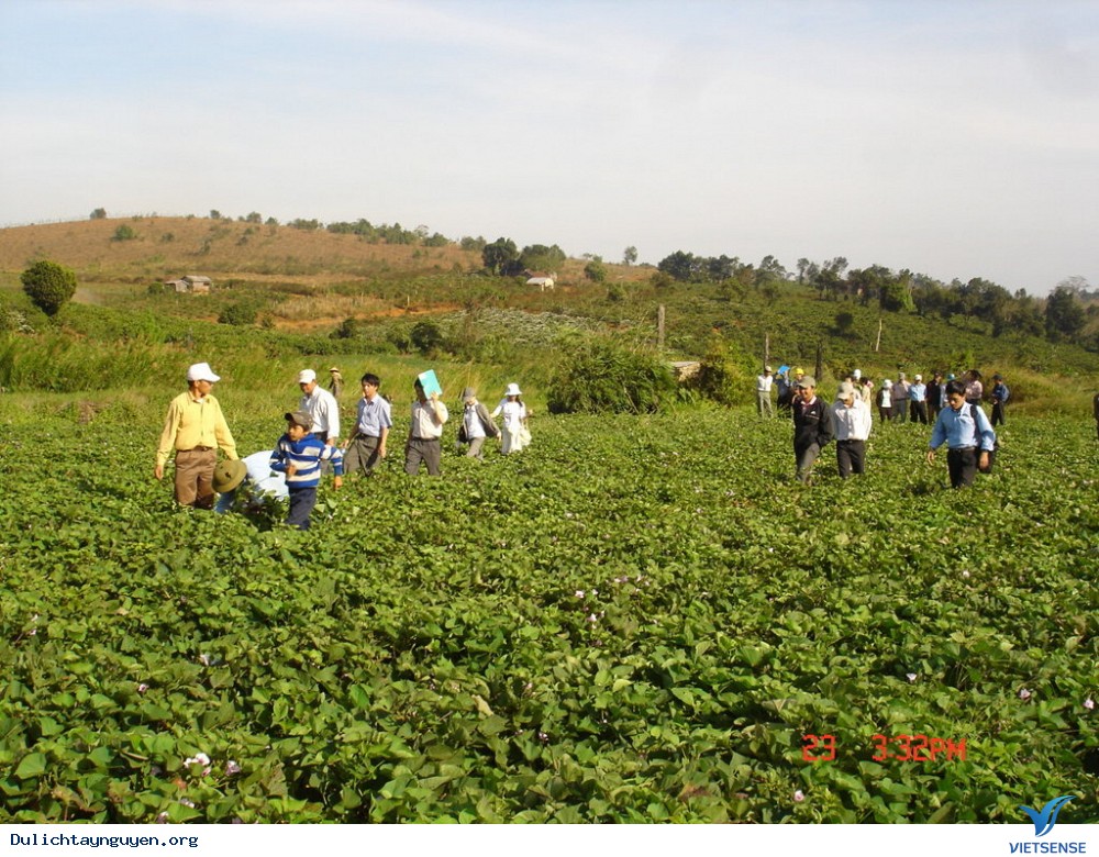Tết Dương Lịch Khám Phá 3 Tỉnh Tây Nguyên Tuyệt Đẹp - Ảnh 3