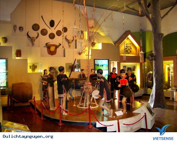 Tham Gia Trải Nghiệm Giao Lưu Âm Nhạc Tại Bảo Tàng Đak Lak - Ảnh 3