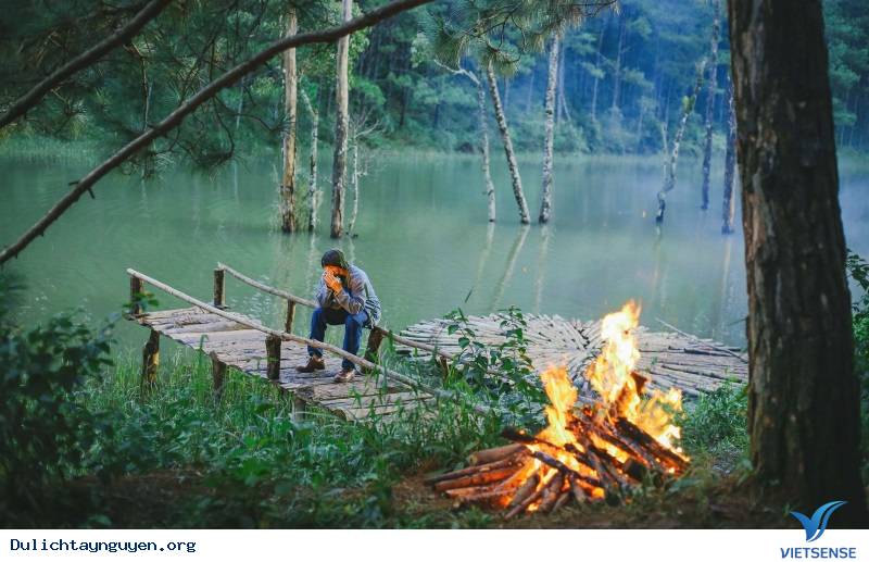 Thánh Sống Ảo Nhất Định Không Nên Bỏ Lỡ Xích Đu Tổ Chim Trong Khu Vườn Thần Tiên Hot Nhất Đà Lạt - Ảnh 4 Thánh Sống Ảo Nhất Định Không Nên Bỏ Lỡ Xích Đu Tổ Chim Trong Khu Vườn Thần Tiên Hot Nhất Đà Lạt - Ảnh 4