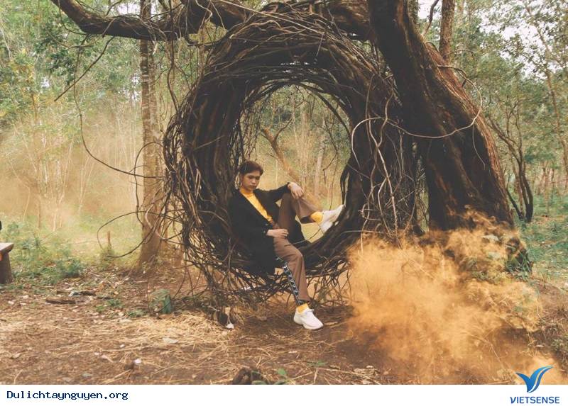 Thánh Sống Ảo Nhất Định Không Nên Bỏ Lỡ Xích Đu Tổ Chim Trong Khu Vườn Thần Tiên Hot Nhất Đà Lạt - Ảnh 2 Thánh Sống Ảo Nhất Định Không Nên Bỏ Lỡ Xích Đu Tổ Chim Trong Khu Vườn Thần Tiên Hot Nhất Đà Lạt - Ảnh 2