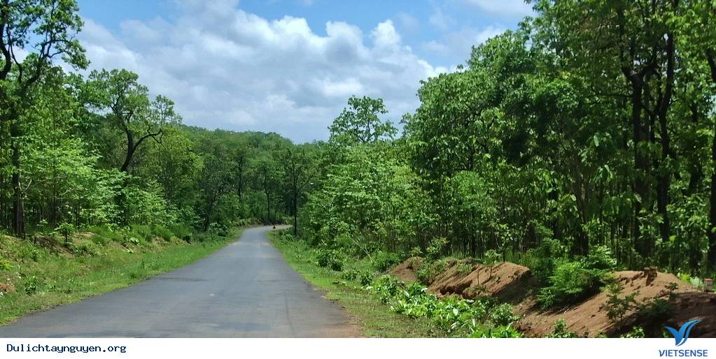 du lich tay nguyen du lich tay nguyen