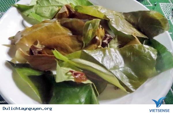 Thưởng Thức Lá Bép- Đặc Sản Rau Rừng Tây Nguyên - Ảnh 1 Thưởng Thức Lá Bép- Đặc Sản Rau Rừng Tây Nguyên - Ảnh 1