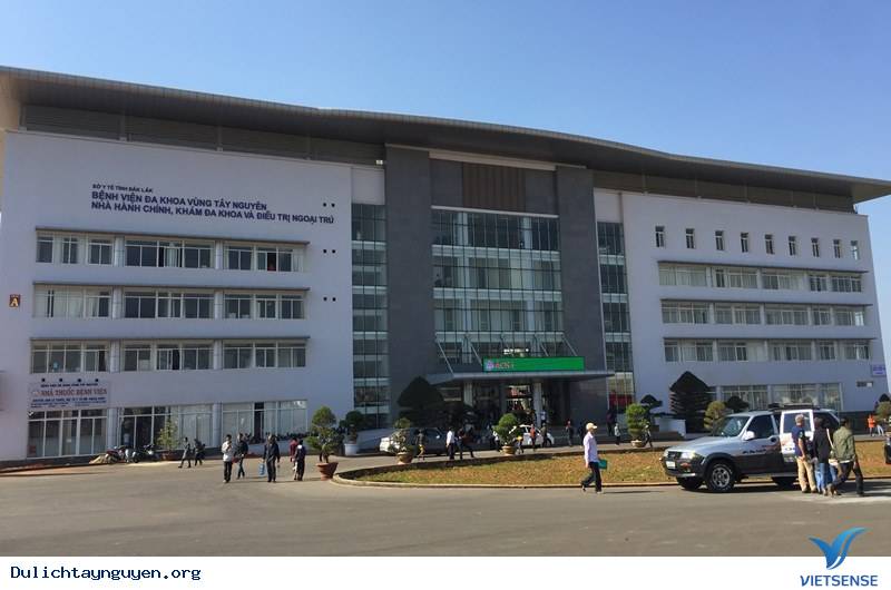 Tình hình dịch bệnh ở Việt Nam nói chung và ở Tây Nguyên nói riêng - Ảnh 2 Tình hình dịch bệnh ở Việt Nam nói chung và ở Tây Nguyên nói riêng - Ảnh 2