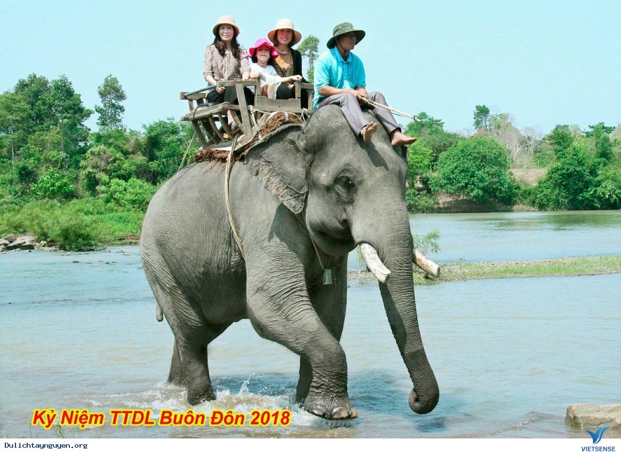 Trải nghiệm hoạt động cưỡi voi tại Buôn Đôn và bảng giá vé cưỡi voi - Ảnh 1 Trải nghiệm hoạt động cưỡi voi tại Buôn Đôn và bảng giá vé cưỡi voi - Ảnh 1