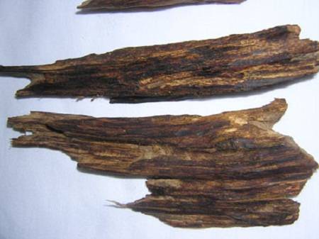 Trầm Hương - Ký Nam