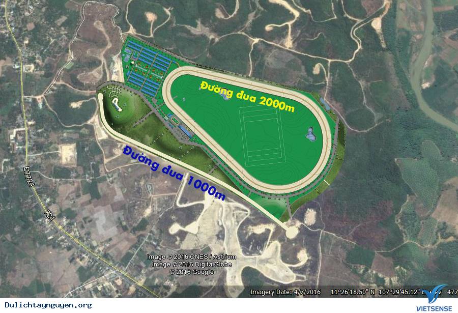 Về Tây Nguyên Khám Phá Trường Đua Ngựa Thiên Mã - Ảnh 2