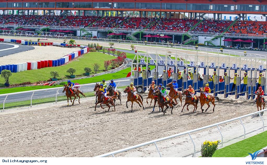 Về Tây Nguyên Khám Phá Trường Đua Ngựa Thiên Mã - Ảnh 1