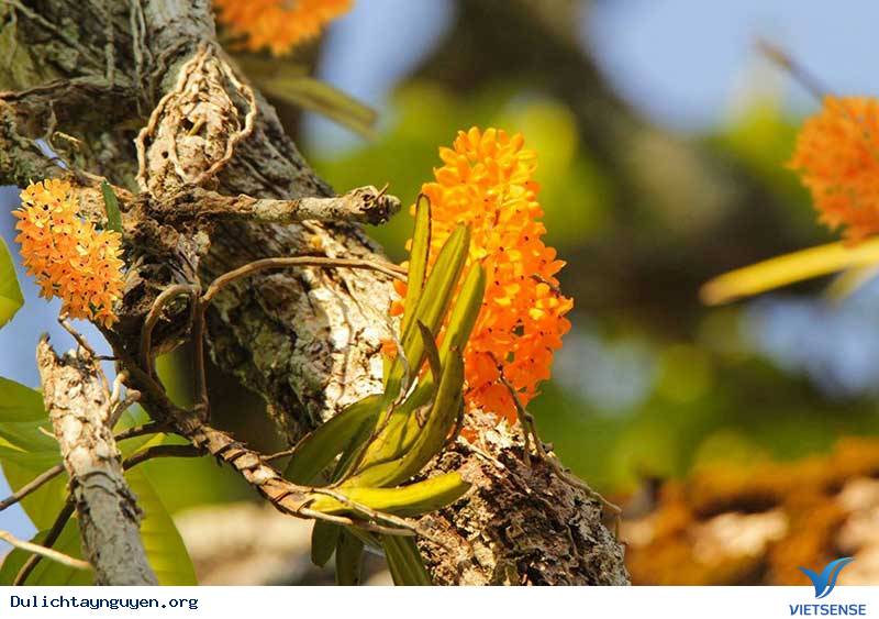 Đa dạng các loài động vật quý hiếm