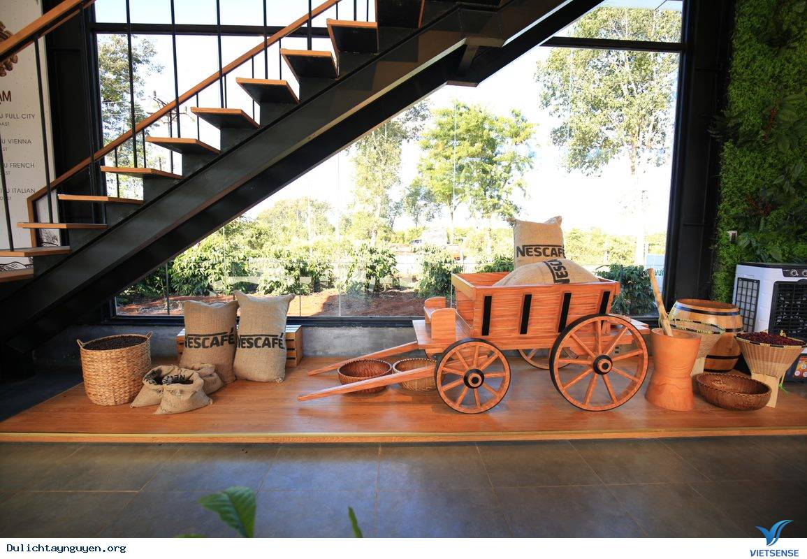 Vườn Trải Nghiệm Cà Phê Buôn Ma Thuột - Ảnh 6 Vườn Trải Nghiệm Cà Phê Buôn Ma Thuột - Ảnh 6