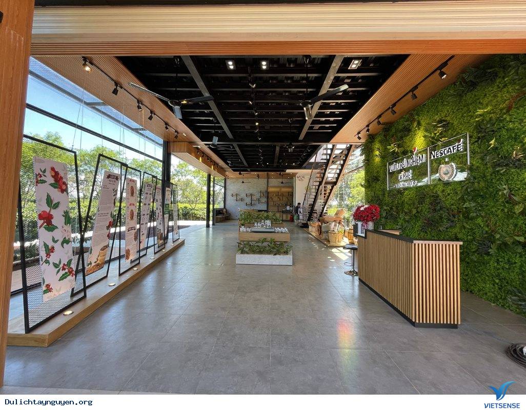 Vườn Trải Nghiệm Cà Phê Buôn Ma Thuột - Ảnh 4 Vườn Trải Nghiệm Cà Phê Buôn Ma Thuột - Ảnh 4