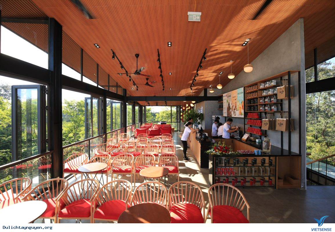 Vườn Trải Nghiệm Cà Phê Buôn Ma Thuột - Ảnh 3 Vườn Trải Nghiệm Cà Phê Buôn Ma Thuột - Ảnh 3