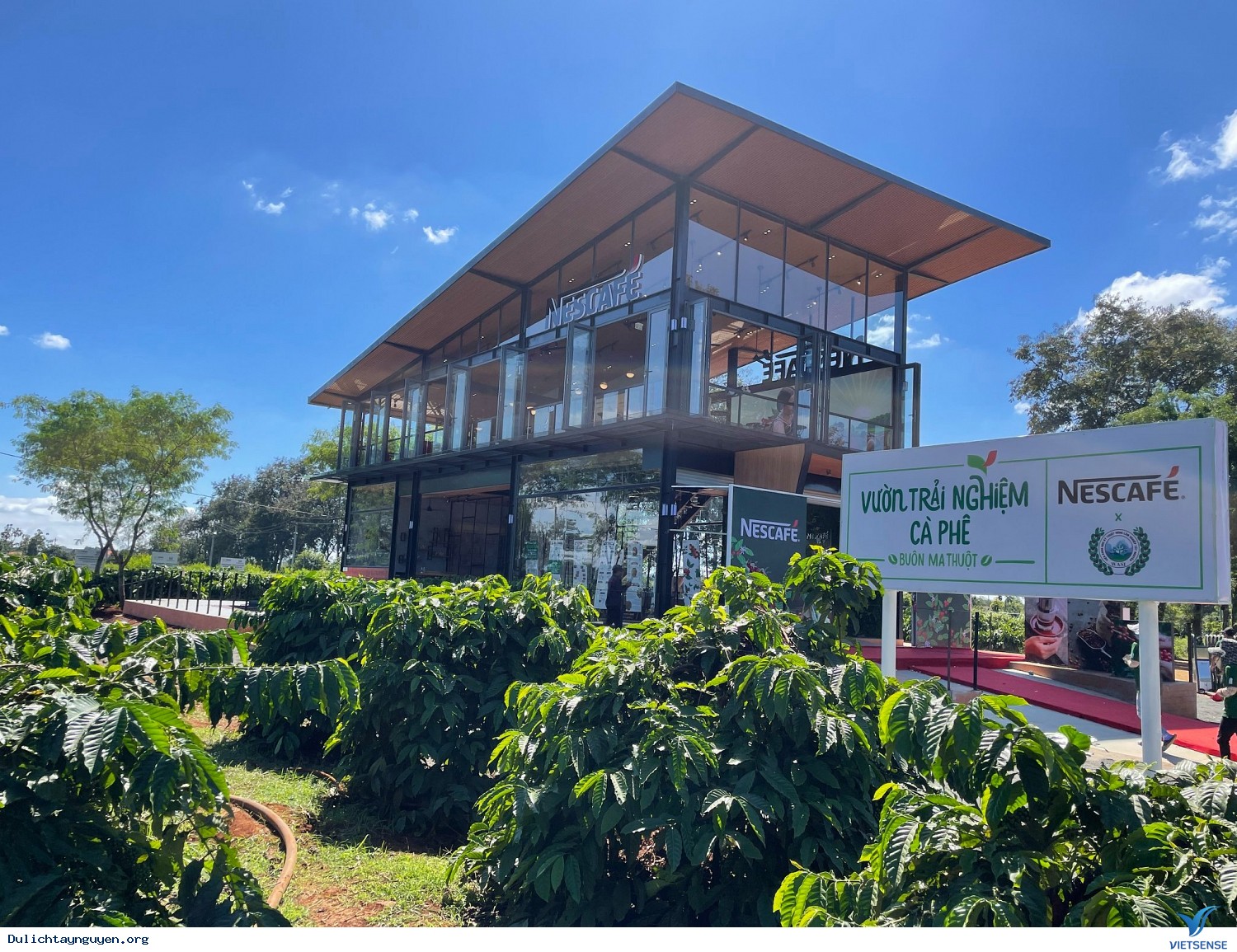Vườn Trải Nghiệm Cà Phê Buôn Ma Thuột - Ảnh 1 Vườn Trải Nghiệm Cà Phê Buôn Ma Thuột - Ảnh 1